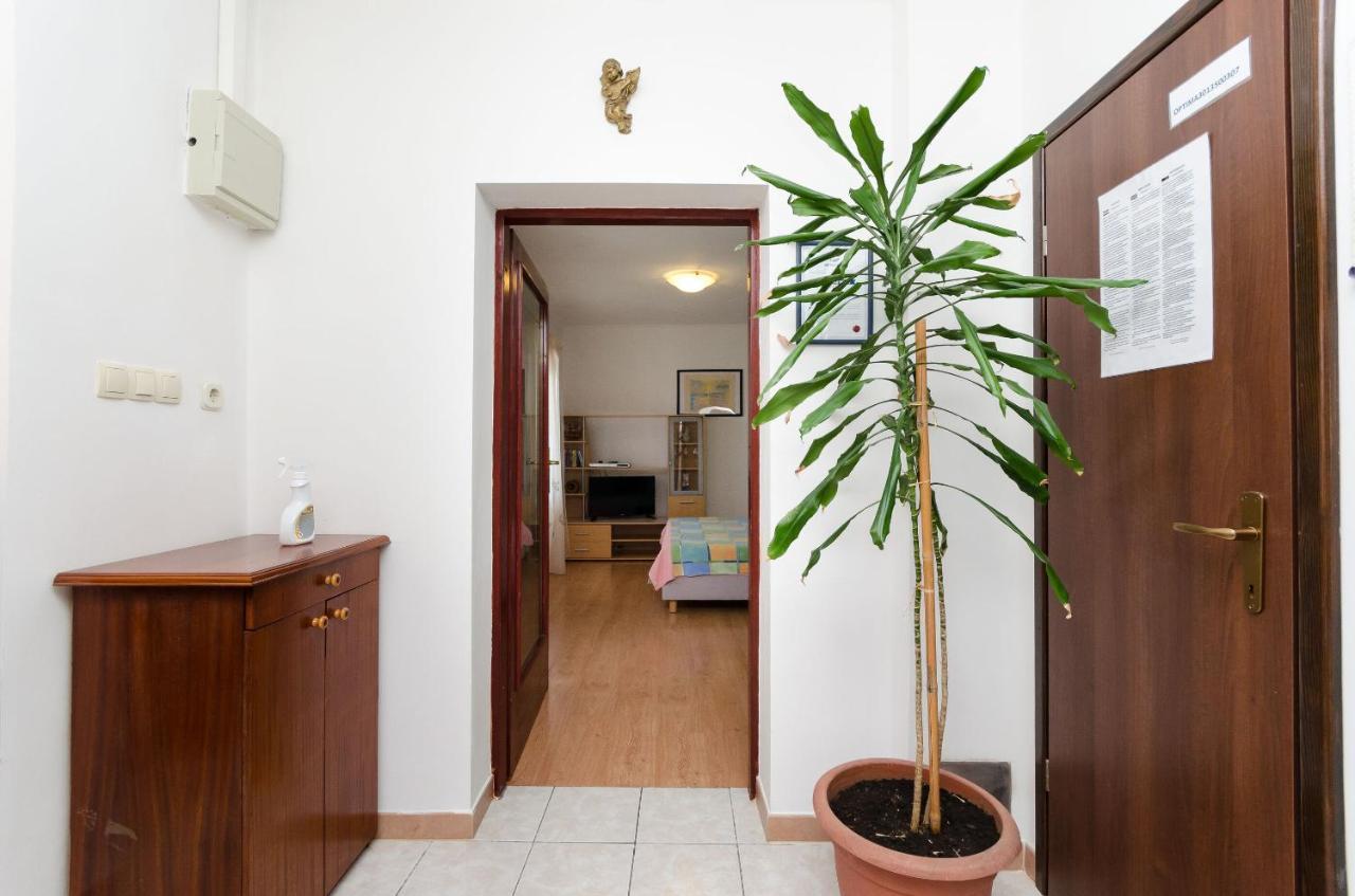 Apartment Goran 노비비노돌스키 외부 사진